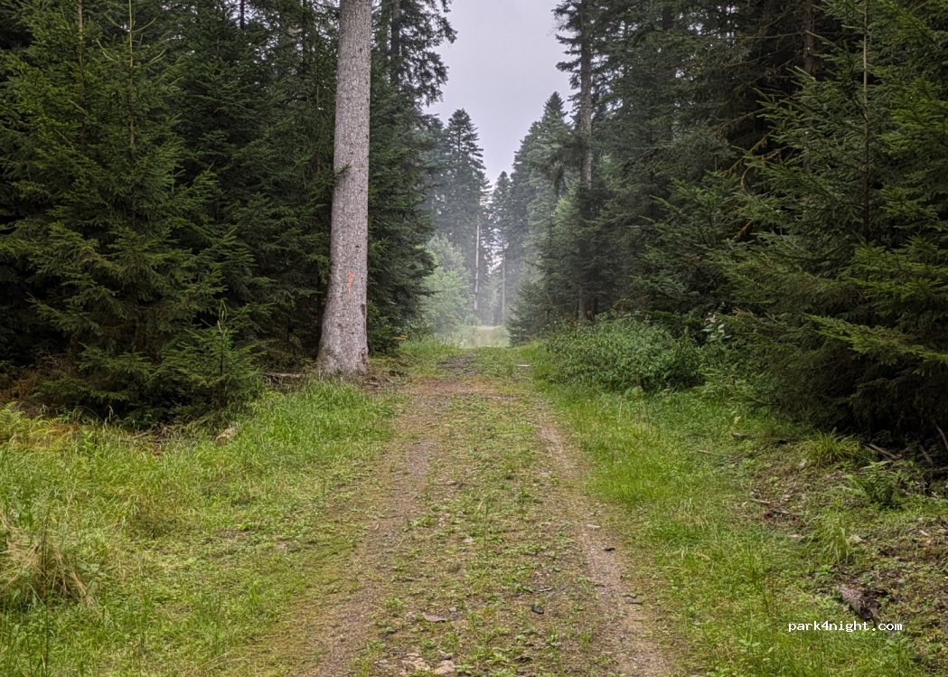 (78737) Fluorn-Winzeln - — foto 2