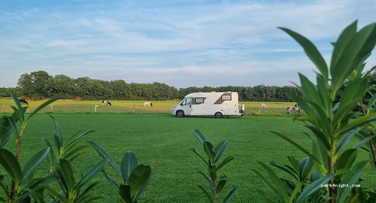Camping Kempenstee — foto 4