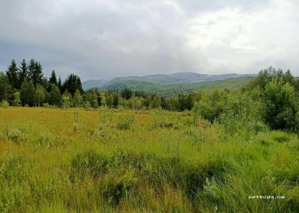 Camping NAF — foto 2