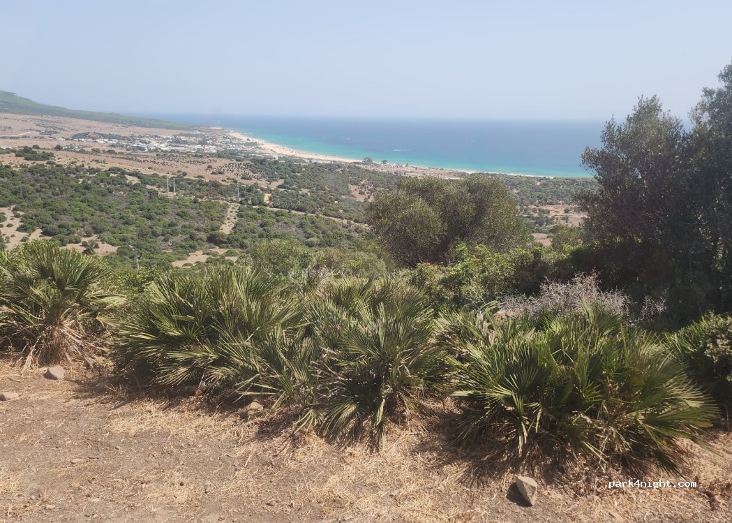 (11391) Bolonia - Unnamed Road — foto 2