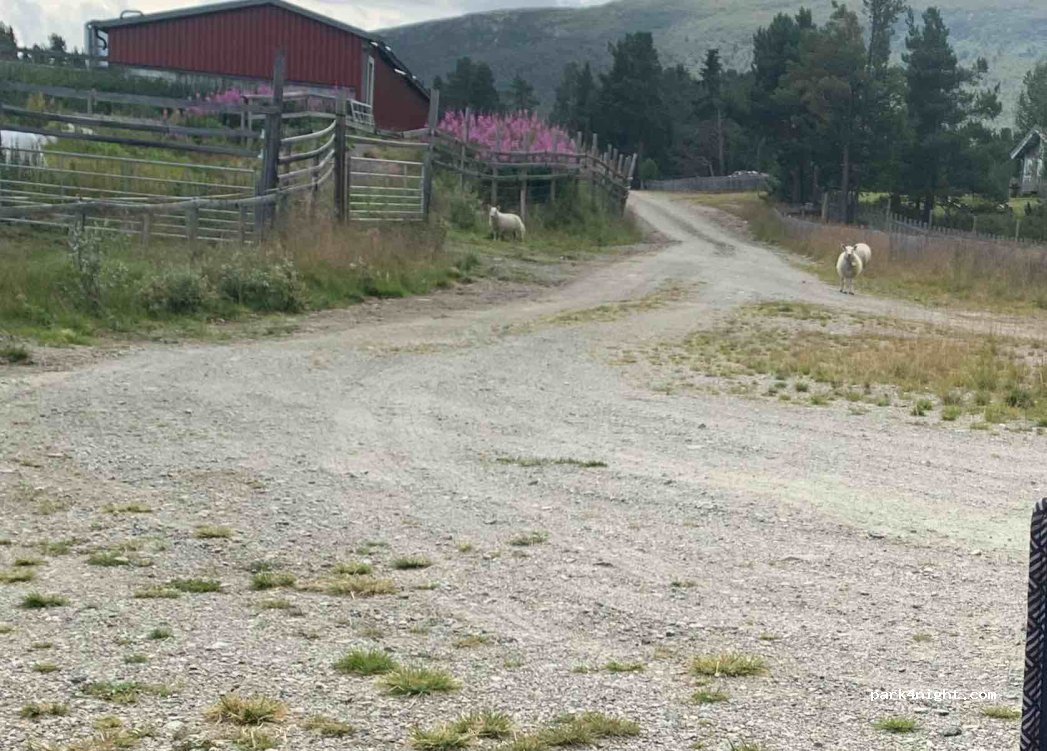 (2683) Tessanden - Unnamed Road — foto