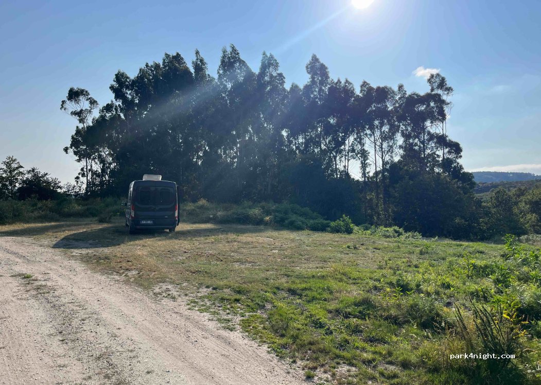 (36839) Carrizáns - — foto 2