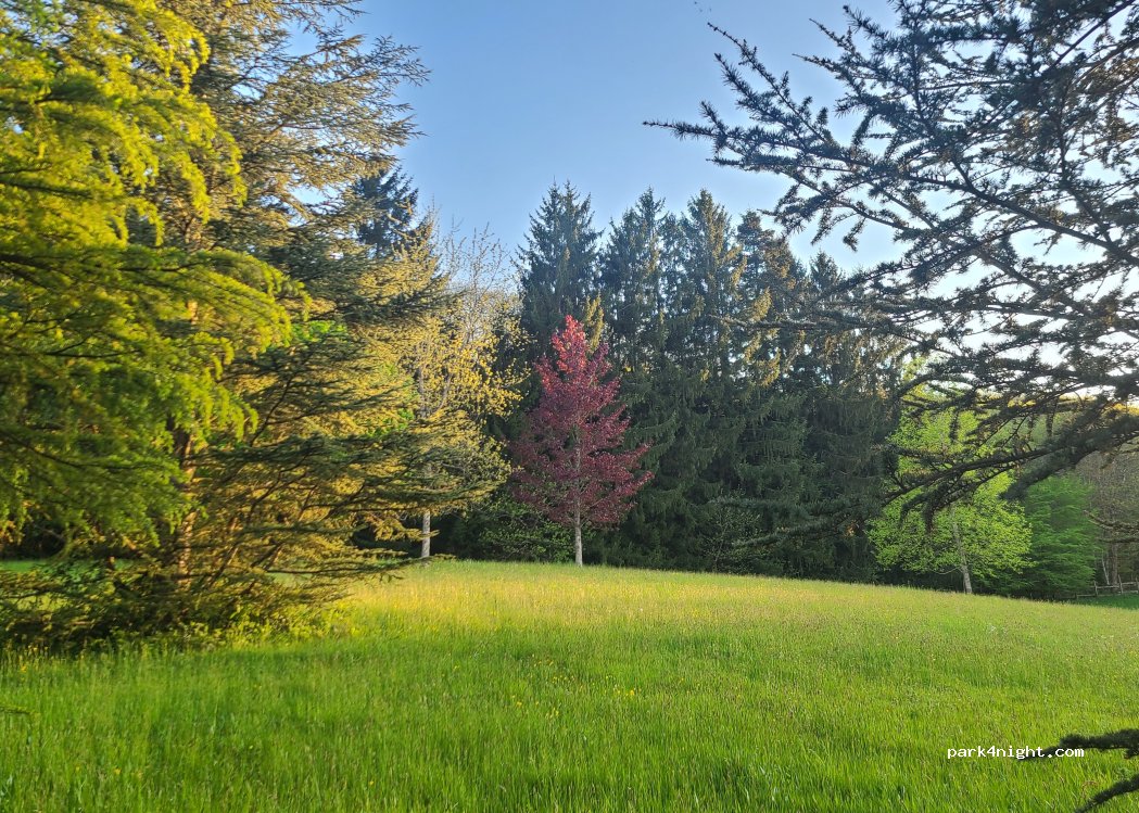 (38690) Flachères - 51 Montée du Clou — foto