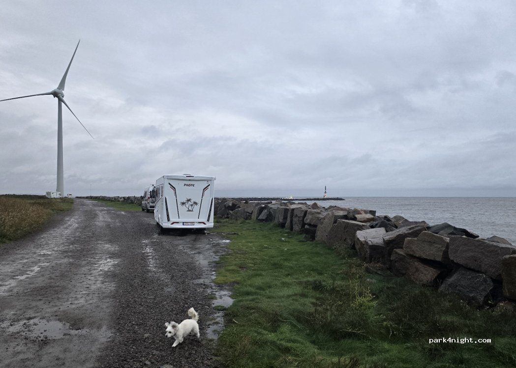 (311 32) Falkenberg - — foto