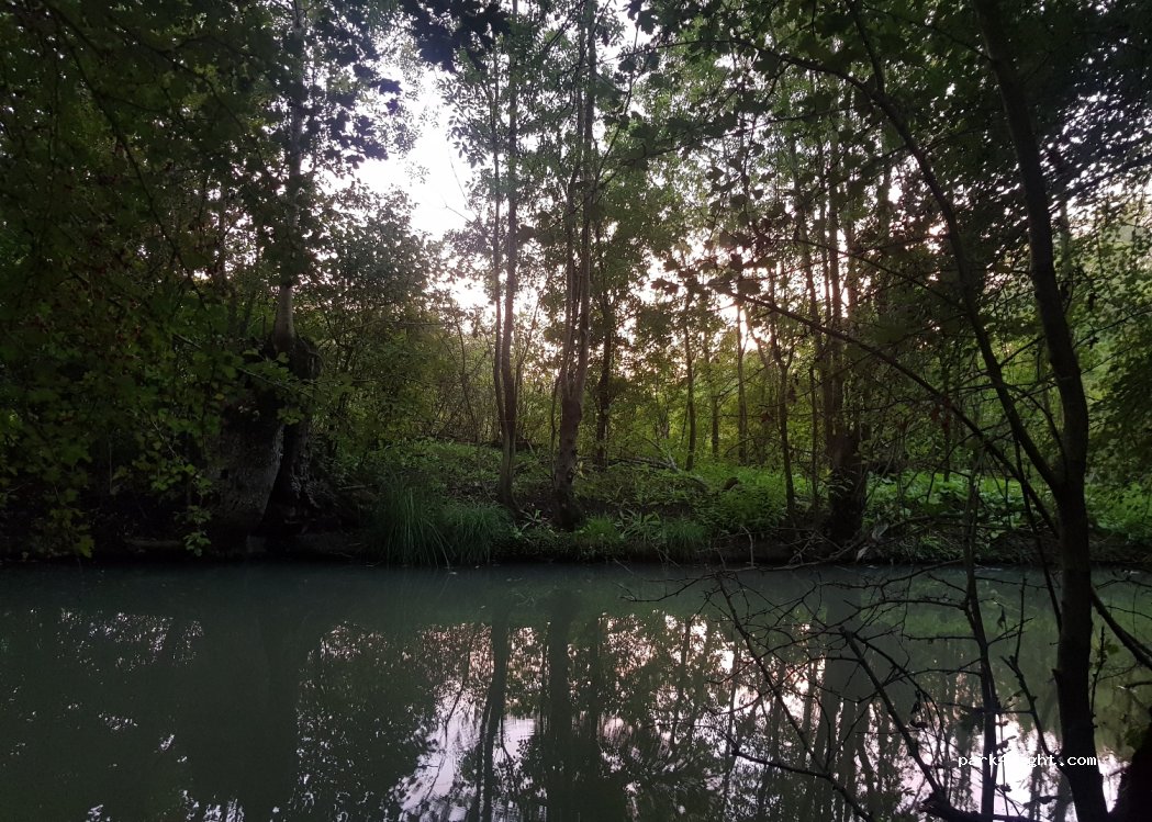 (79210) Saint-Hilaire-la-Palud - Unnamed Road — foto 2