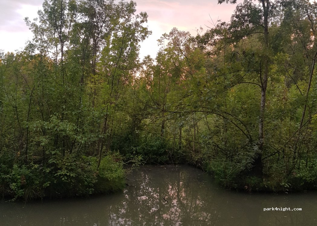 (79210) Saint-Hilaire-la-Palud - Unnamed Road — foto 3