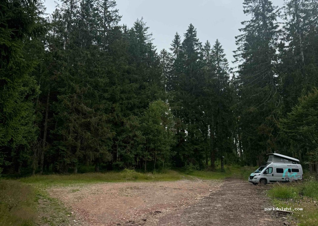 (79822) Titisee-Neustadt - — foto