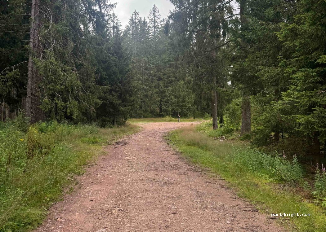 (79822) Titisee-Neustadt - — foto 2