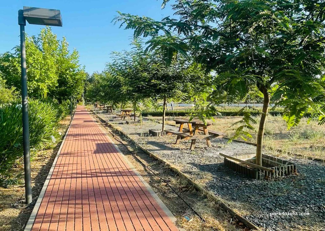 (7960) Vidigueira - ER258 — foto