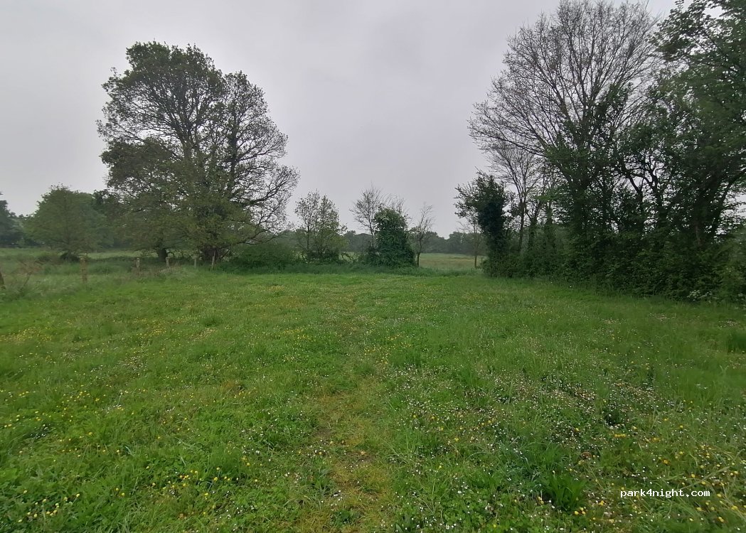 (85710) Bois-de-Céné - 59 Rue de la Motte — foto 4