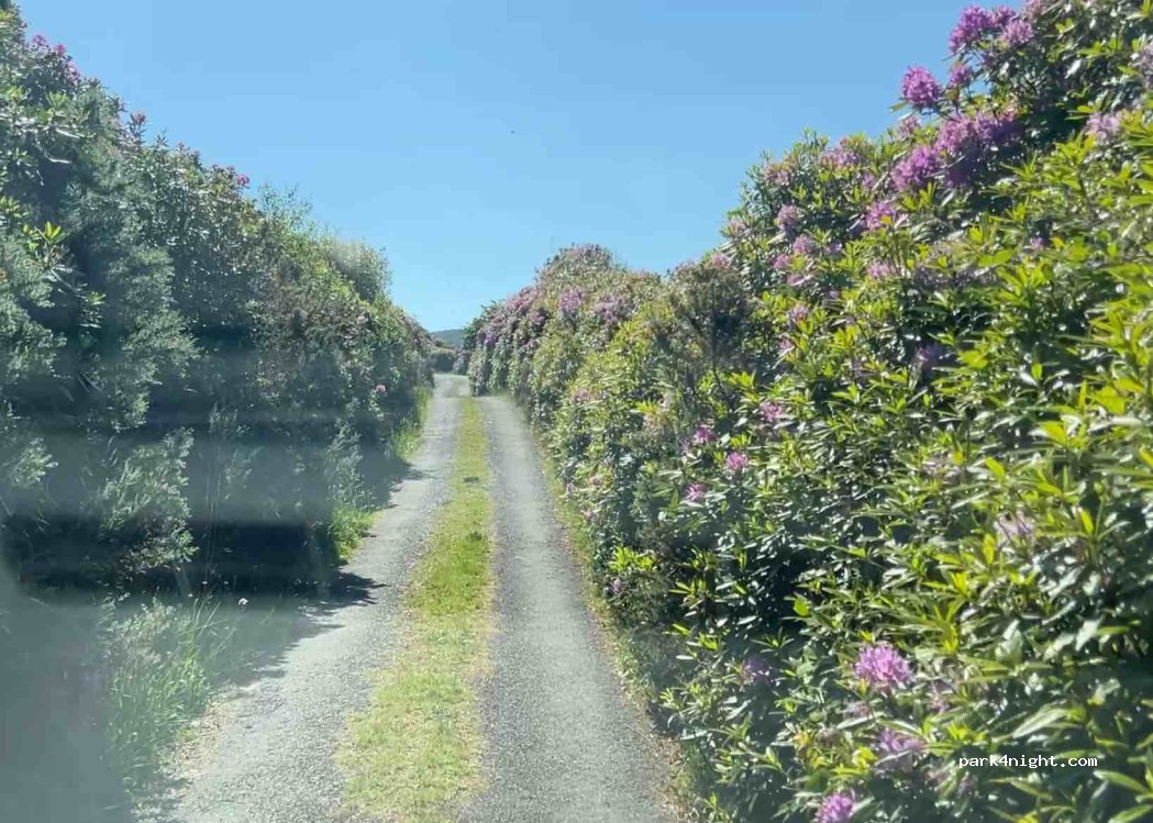 ()  - Unnamed Road — foto 4