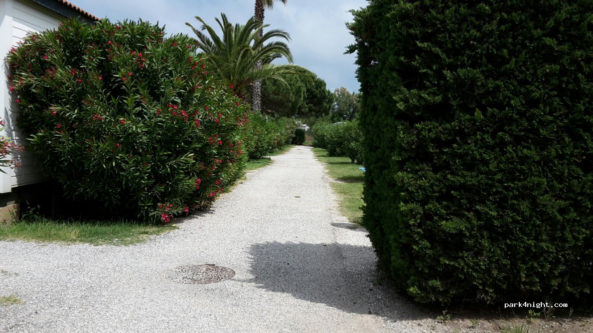 Camping Les Tropiques — foto 3