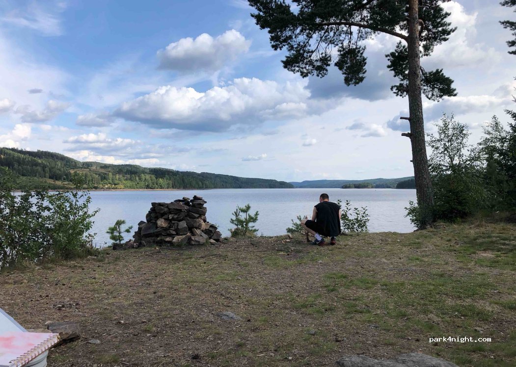 (2224) Varaldskogen - — foto