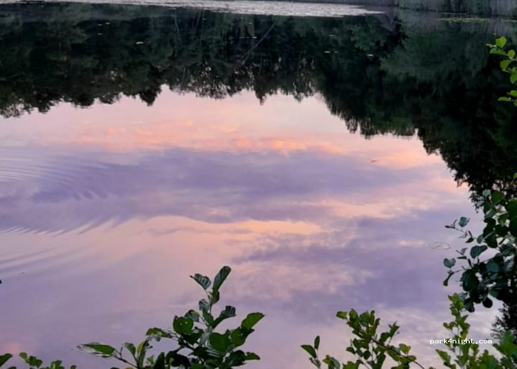 (67729) Sippersfeld - — foto