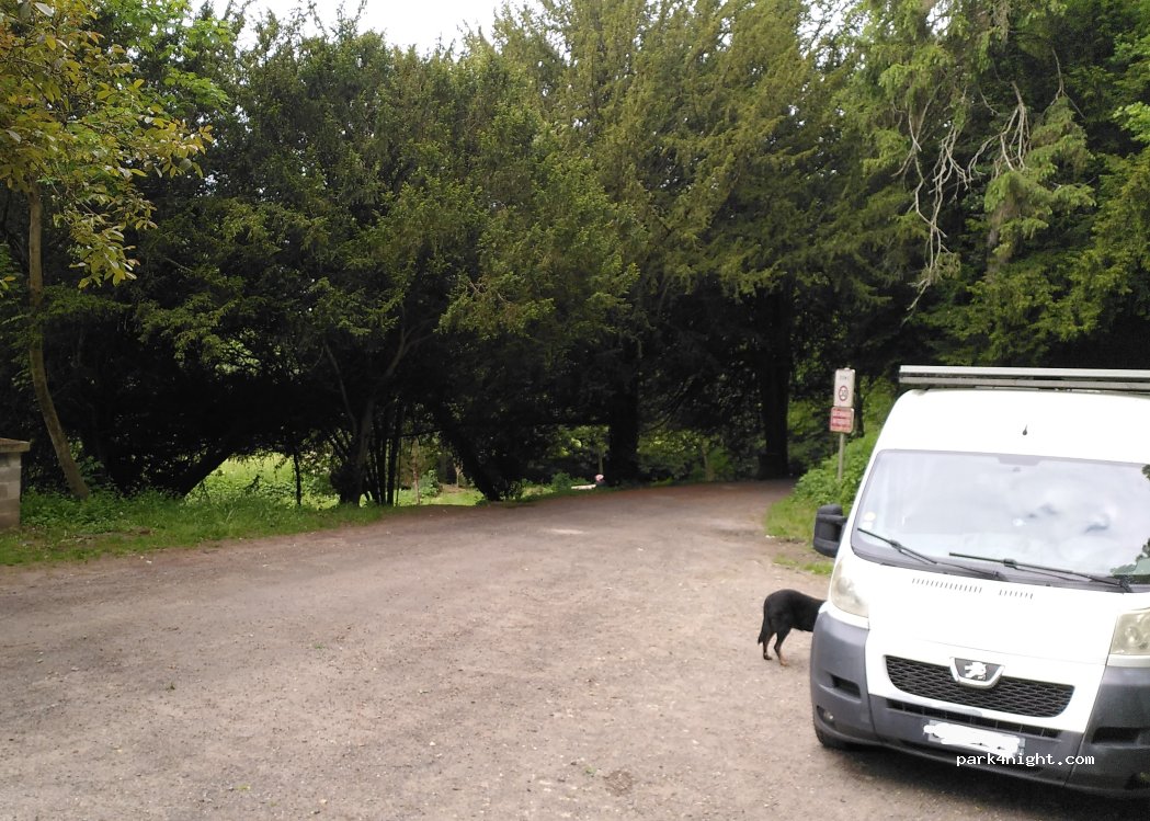 (37110) Saunay - 1 Le Haut Méré — foto 4
