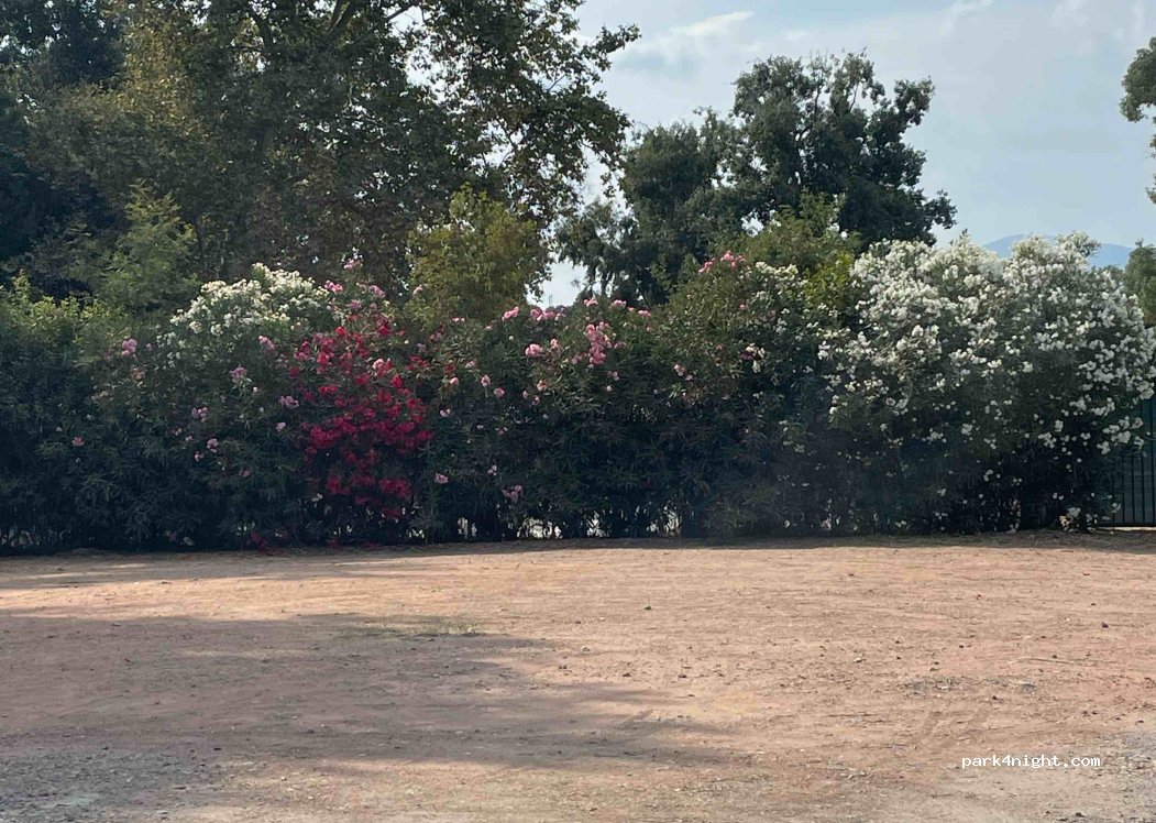 (06800) Cagnes-sur-Mer - M6098 — foto