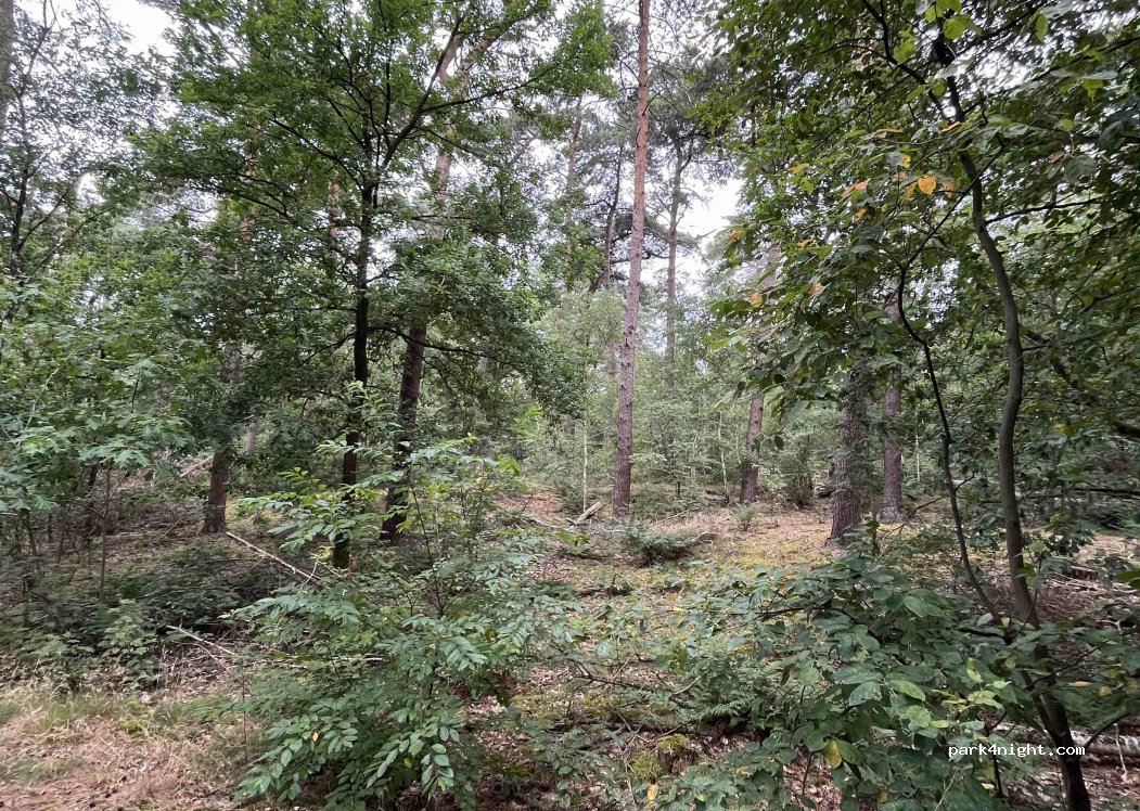 Camperplaats Stiphout — foto 5