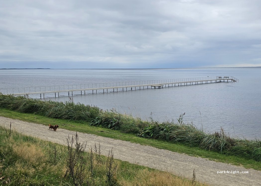 (6950) Ringkøbing - 3 Strandparken — foto 2