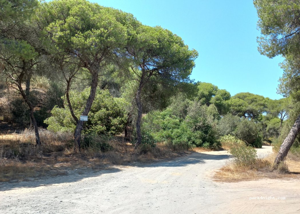 (21100) Laguna de El Portil - Unnamed road — foto 2