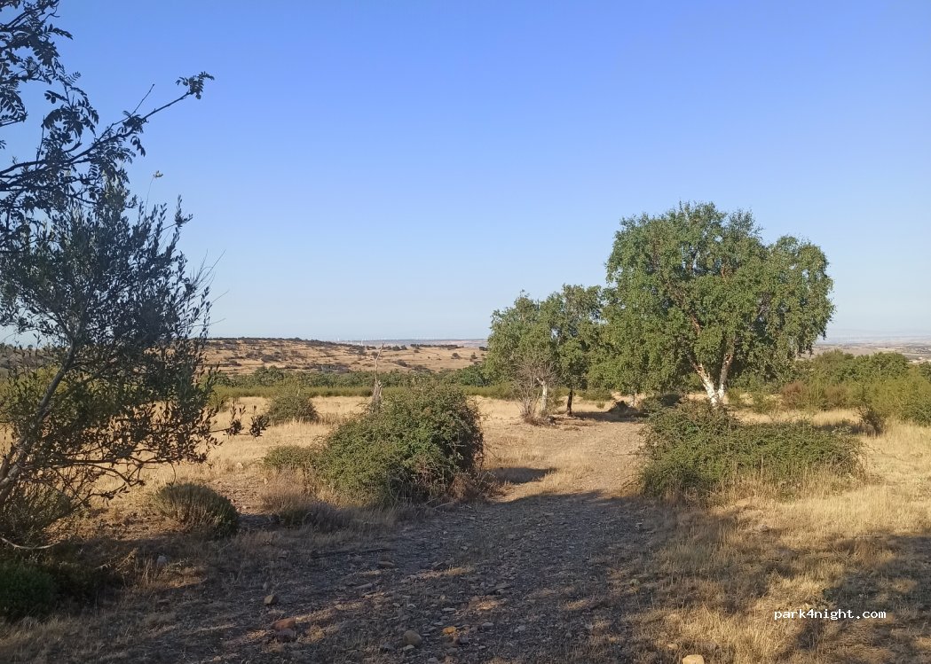 (50590) Añón de Moncayo - — foto