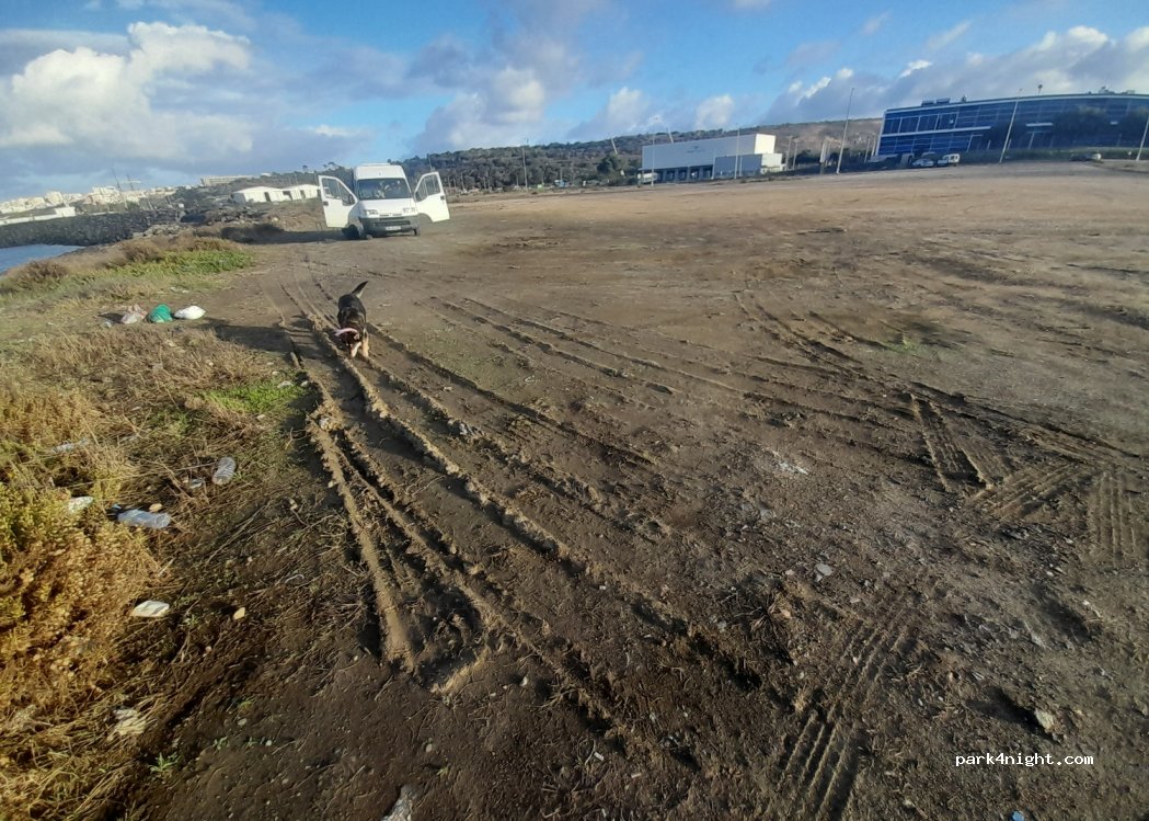 (7520-203) Sines - — foto 3