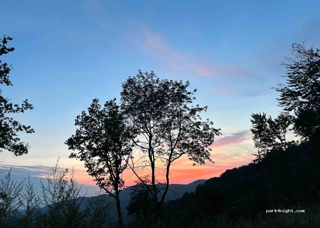 (17100) Savona - — foto