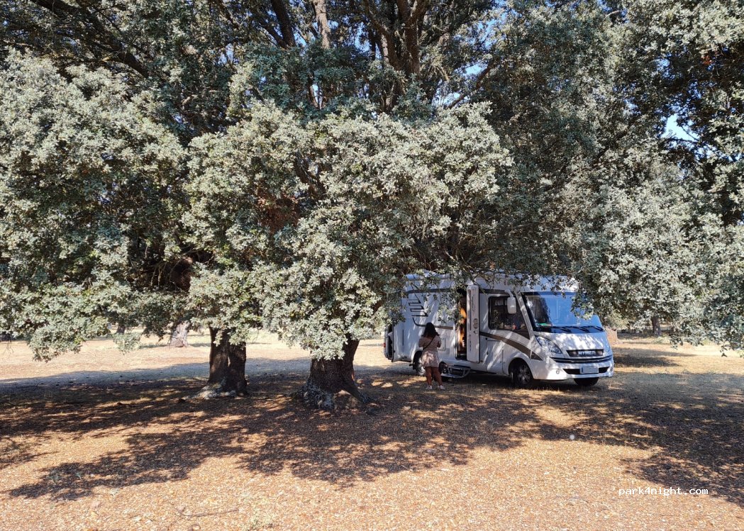 (40514) Saldaña de Ayllón - Unnamed Road — foto