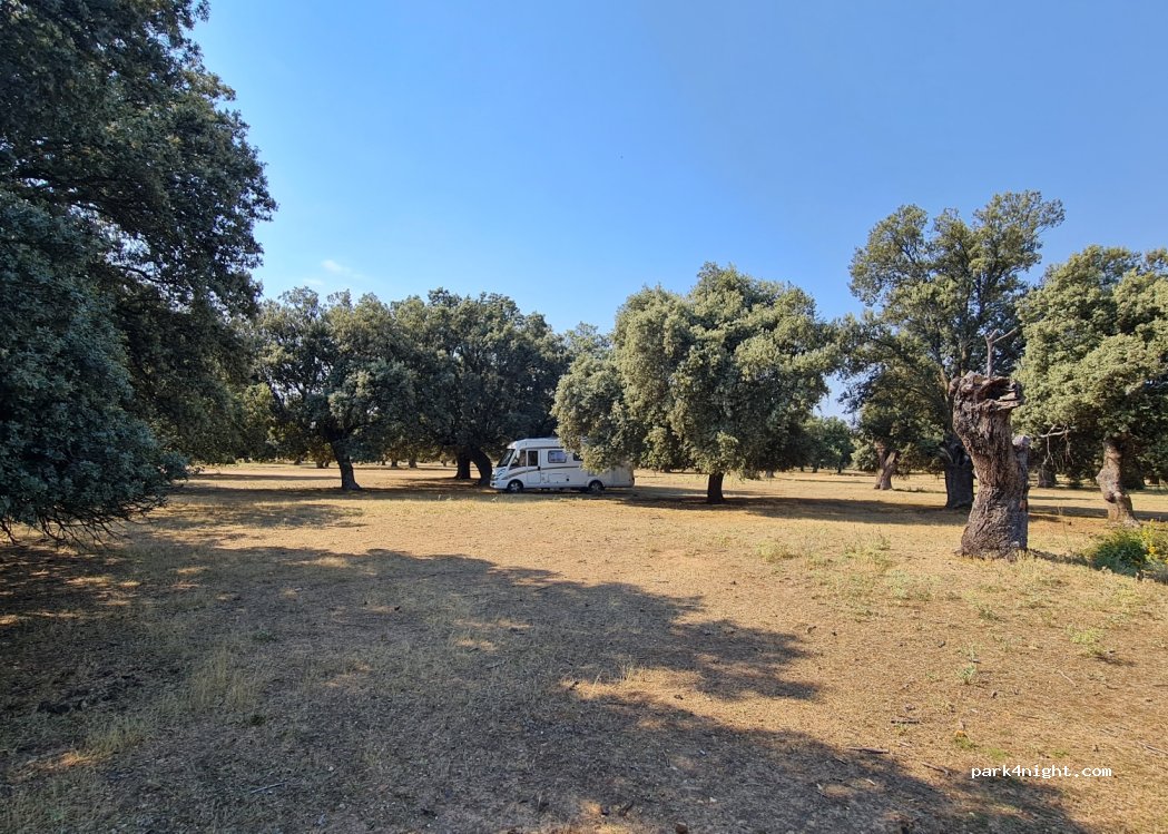 (40514) Saldaña de Ayllón - Unnamed Road — foto 2