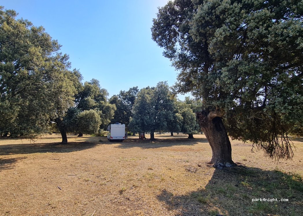(40514) Saldaña de Ayllón - Unnamed Road — foto 3