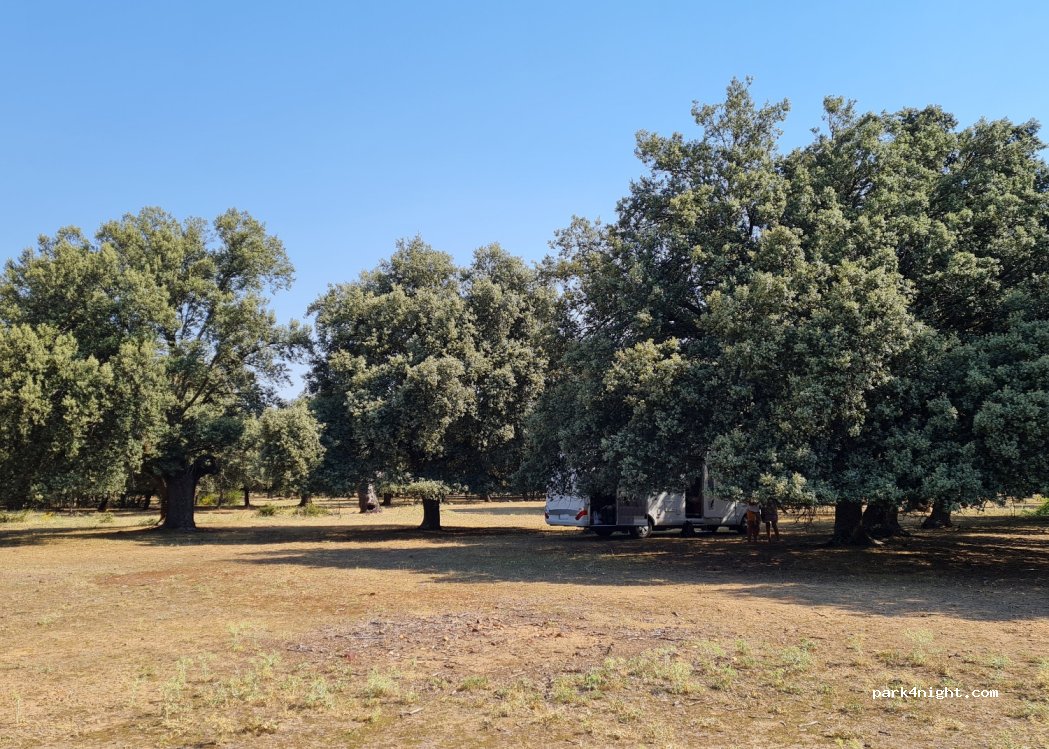 (40514) Saldaña de Ayllón - Unnamed Road — foto 4