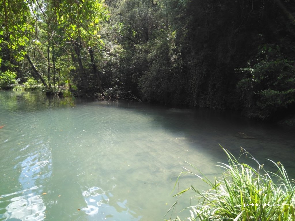 (17173) Les Planes d'Hostoles - Unnamed Road — foto 4