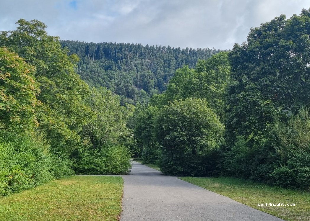 (77773) Schenkenzell - 94 Schloßhof — foto