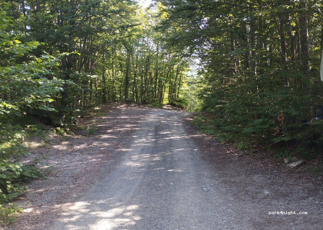 (43010) Monchio delle Corti - Strada Provinciale 75 — foto 2