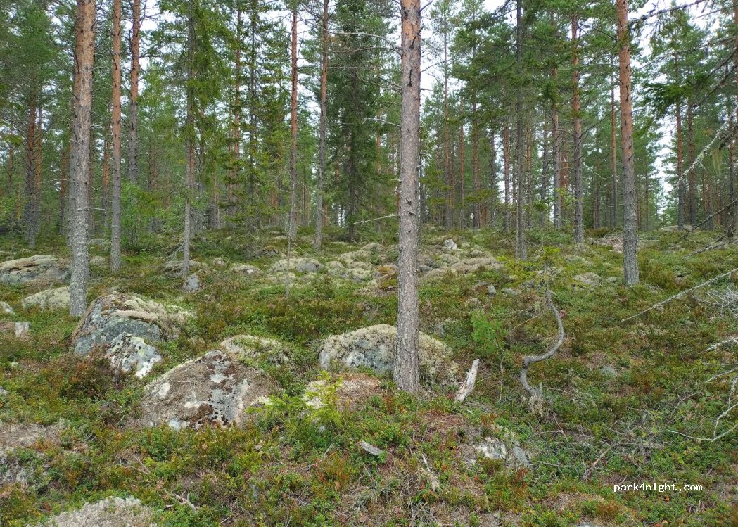 (826 95) Trönödal - — foto 3