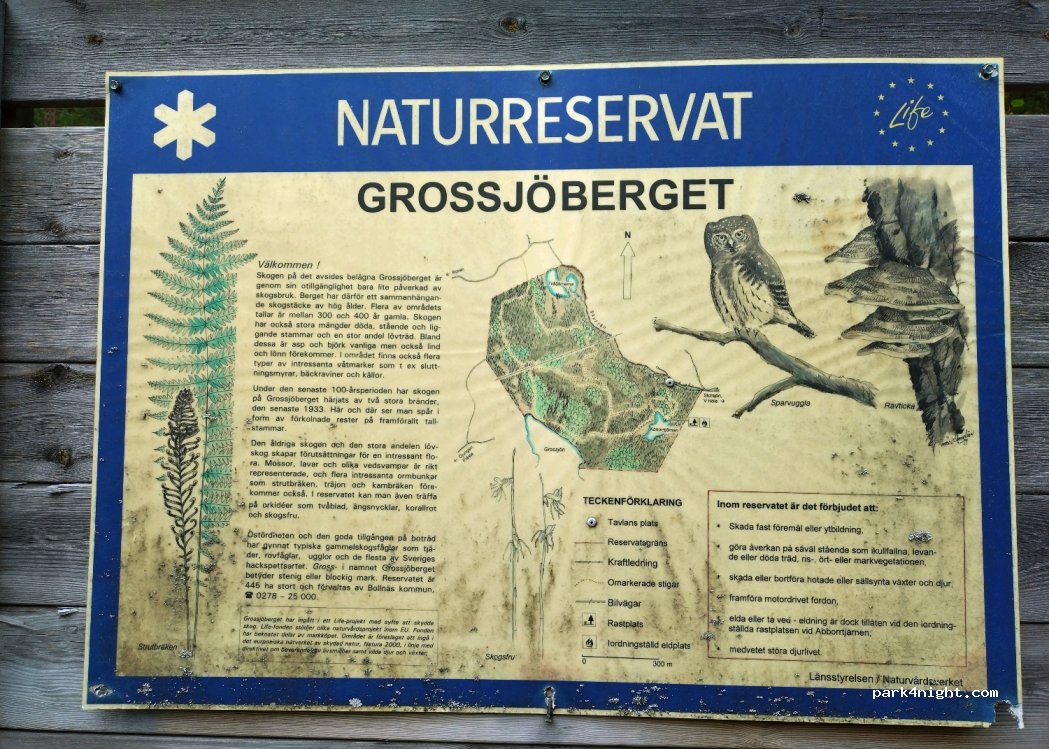 (826 95) Trönödal - Unnamed Road — foto 4