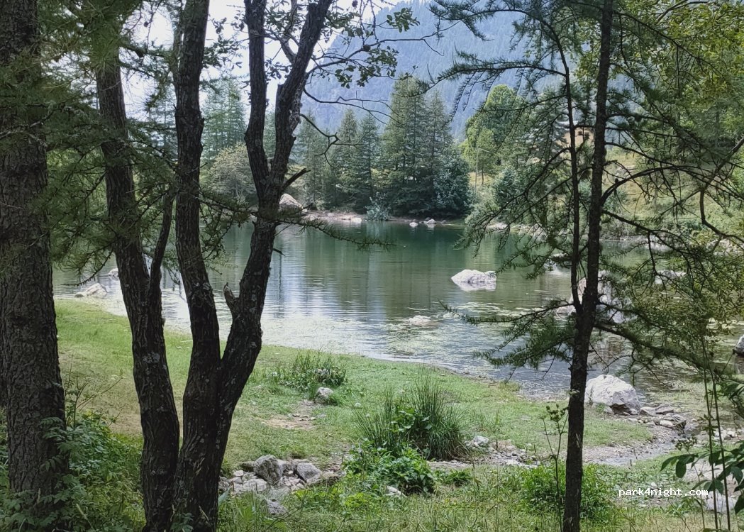 (06450) Belvédère - 1141 Chemin de Saint-Grat — foto