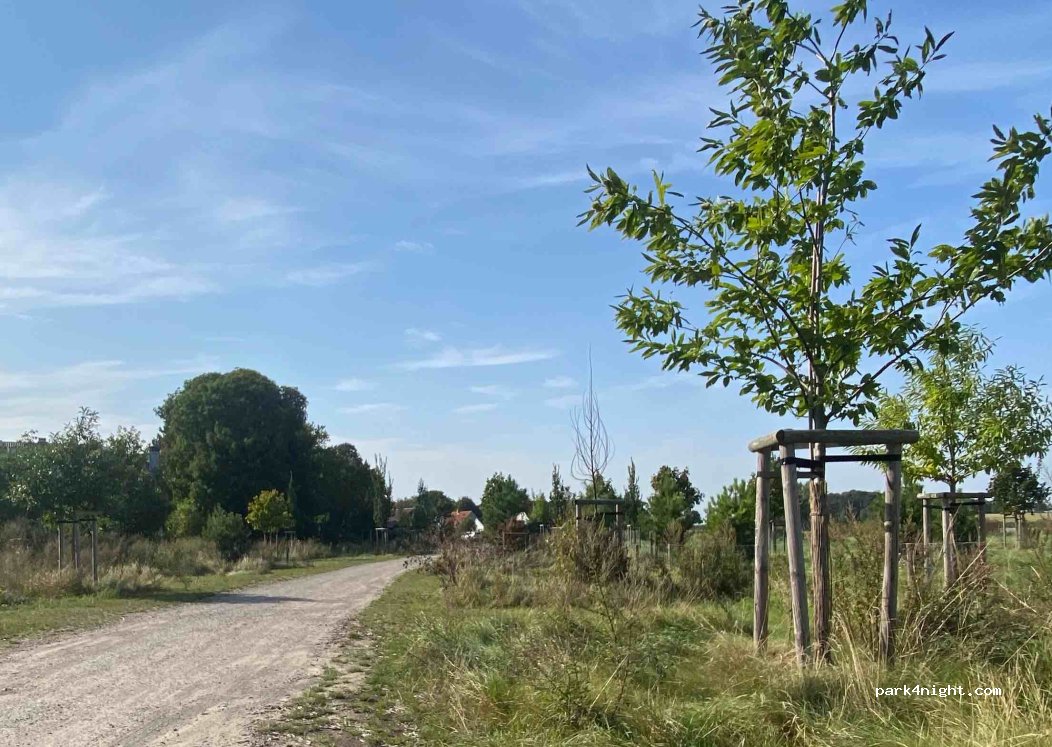 (38173) Erkerode - 3 Kommendestraße — foto 3