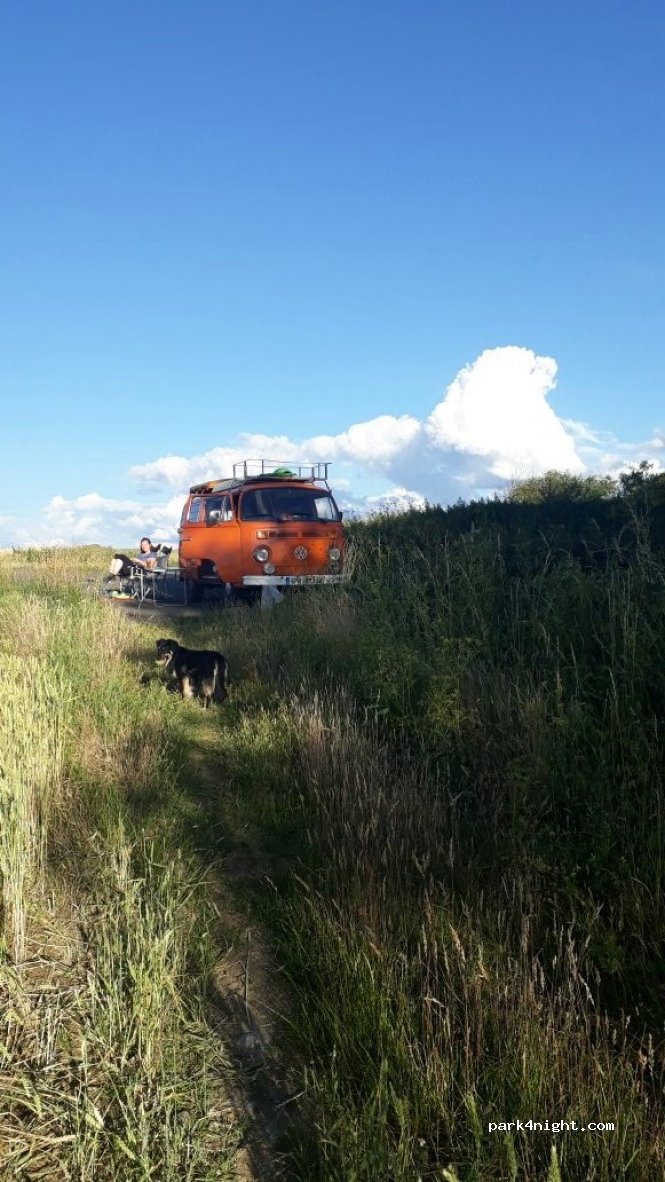 (270 21) Pavlíkov - Unnamed Road — foto 2