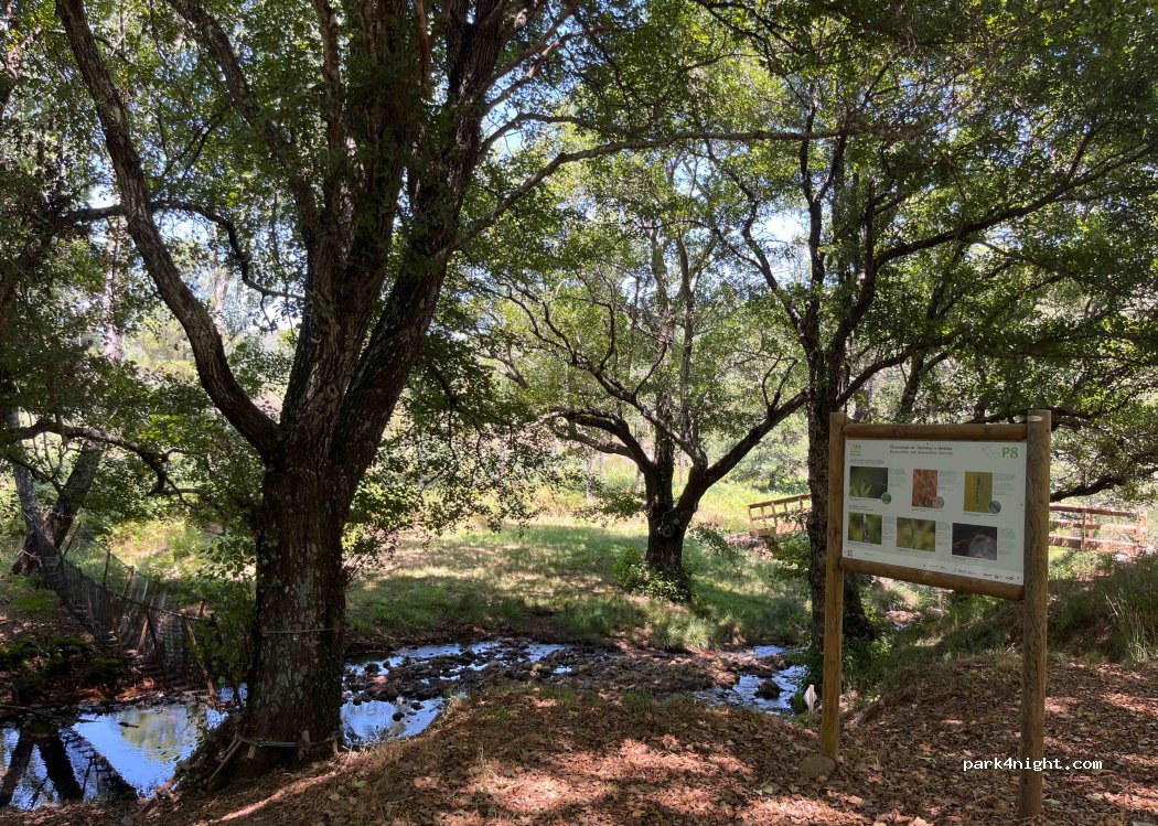 (7300) São Julião - Unnamed Road — foto