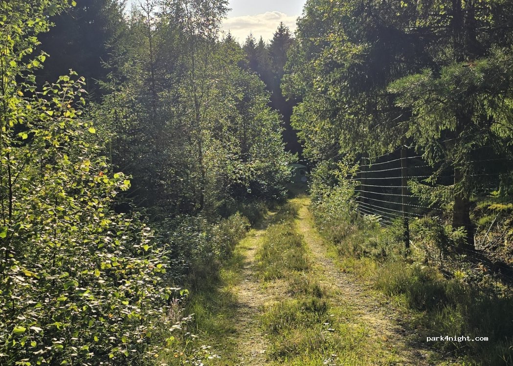 (459 93) Ljungskile - — foto