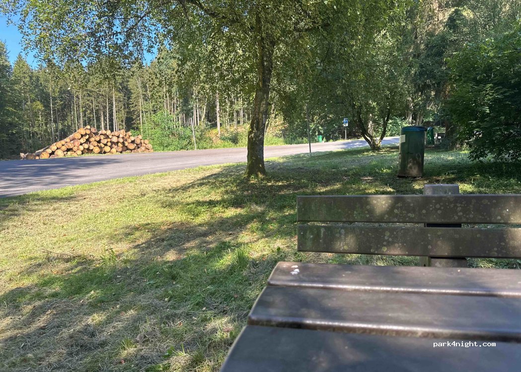 (66679) Losheim am See - L157 — foto