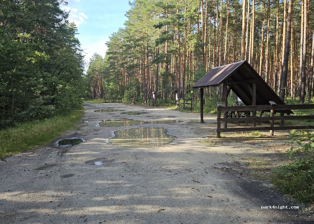 (59) Ruszów - Unnamed Road — foto