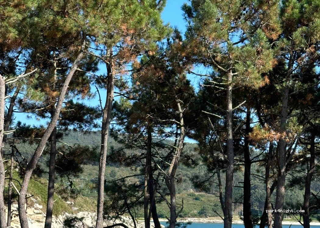 (15114) O Porto de Corme - s/n Rúa A Serra — foto 2