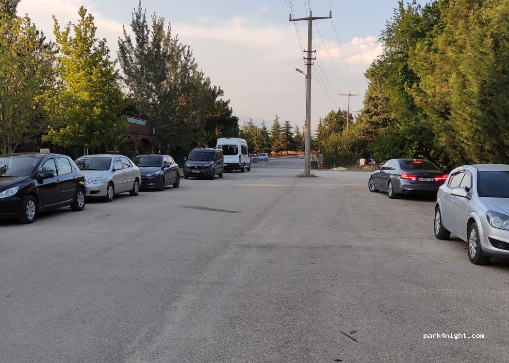(05502) Cürlü - Unnamed Road — foto 3