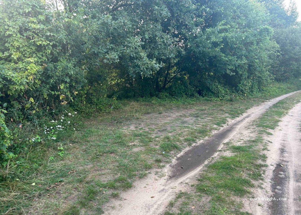 (26-803) Biejków - — foto 2