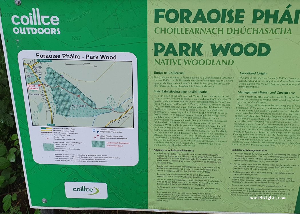 (Y21 HE65) Carrigmacogue - Unnamed Road — foto 3