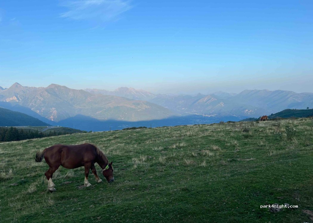 (65400) Vier-Bordes - — foto 2