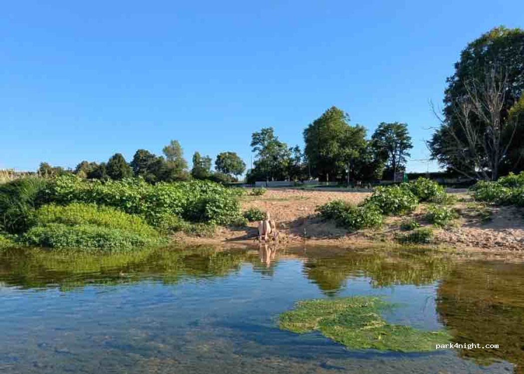 CAMPING L ISLE AUX MOULINS — foto 5