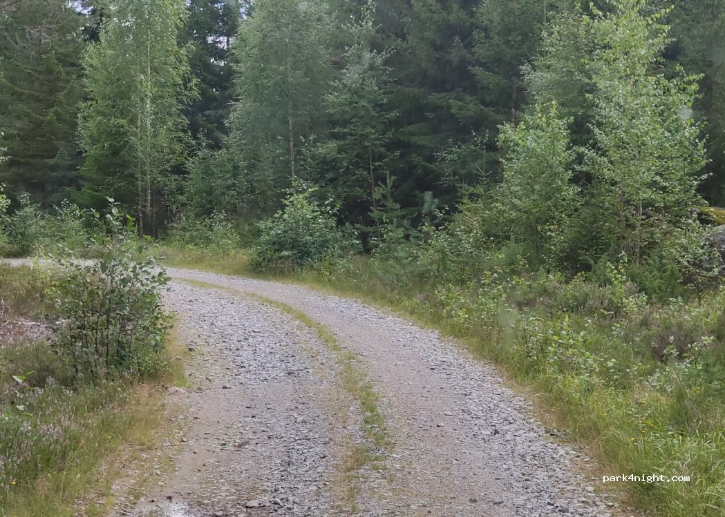 (786 72) Dala-järna - — foto