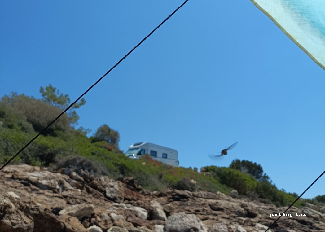 (640 10) Thasos - EO Thasou Limenarion — foto 4